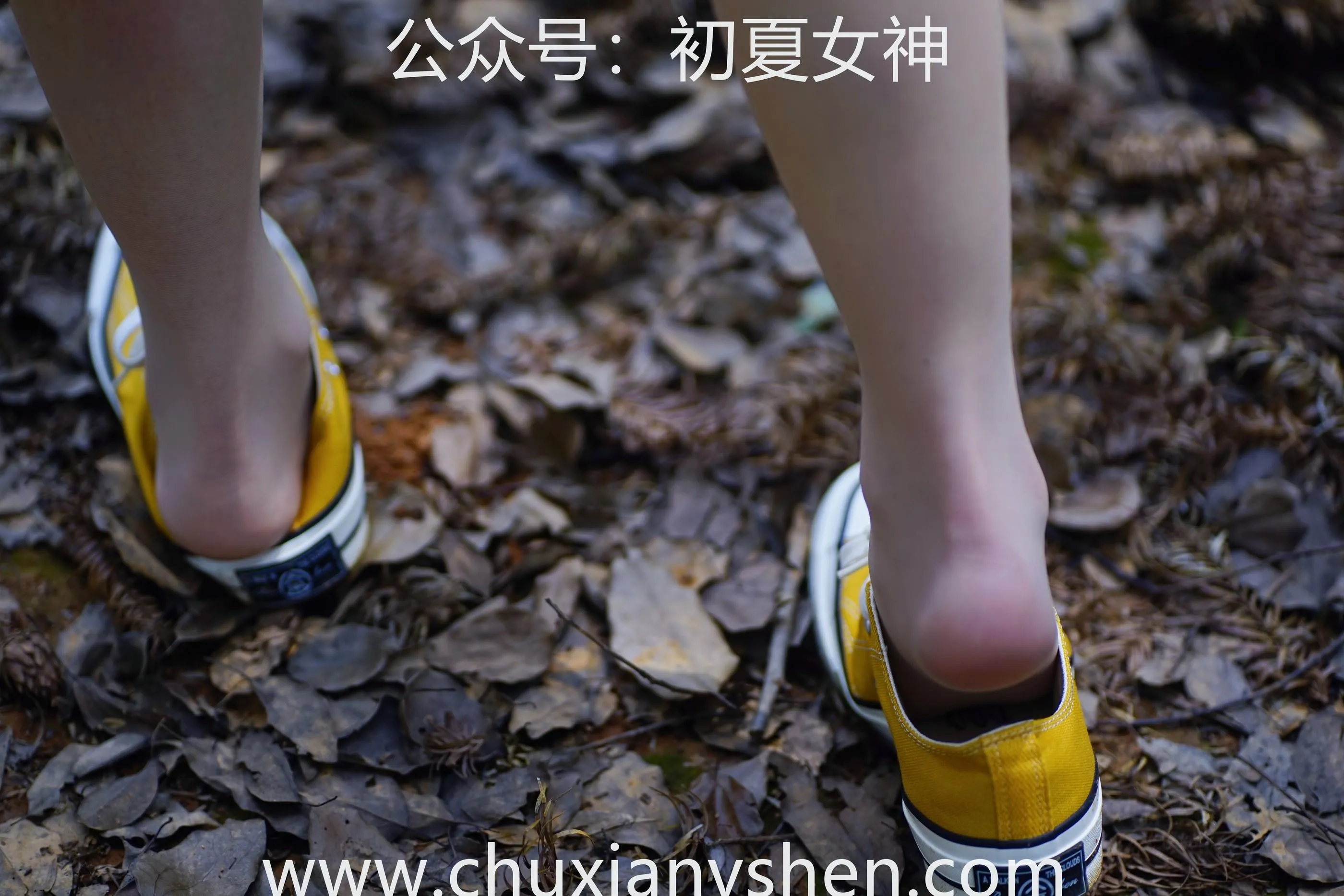 初夏女神 NO.052 大发 山野大发 [132P]插图7